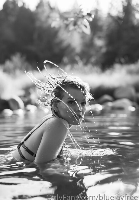 bluejayfree beste hübsche archiv