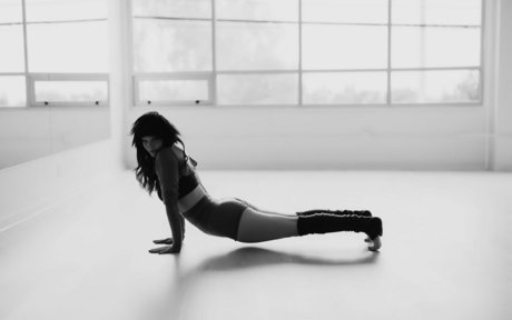 bluejayfree perfekte top bilder