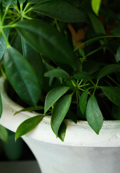 puma-onlyfans nackten galerie