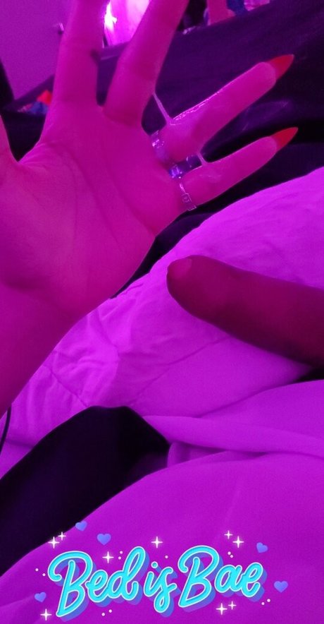 katanaxo beste perfekte galerie