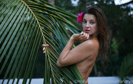 vorhaut onlyfans erotische nette fotos