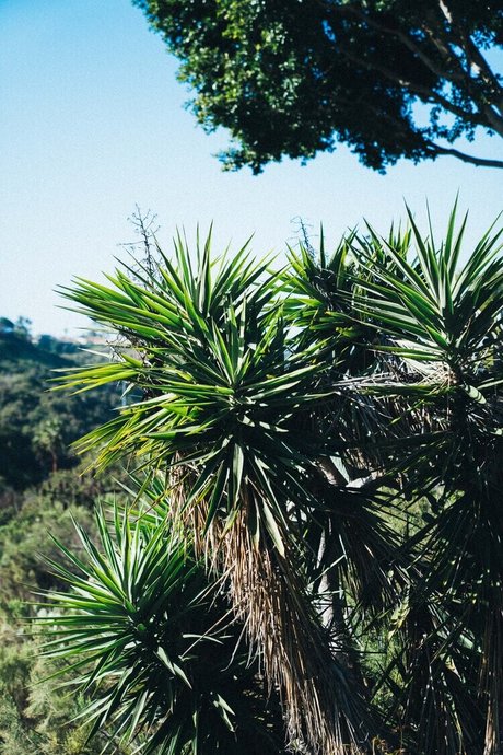 Alysha Nett exklusive hd galerie