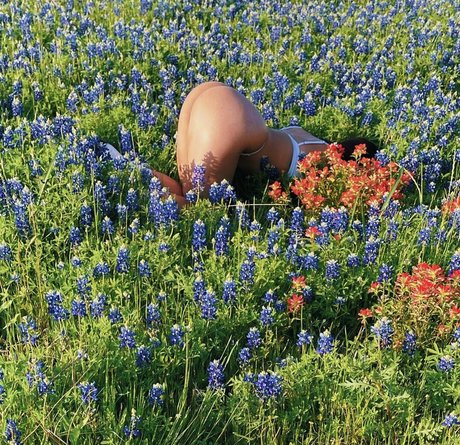 Regina Unite porno freie archiv