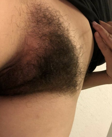 großer schwarzer schwanz nur fans kunst schöne archiv