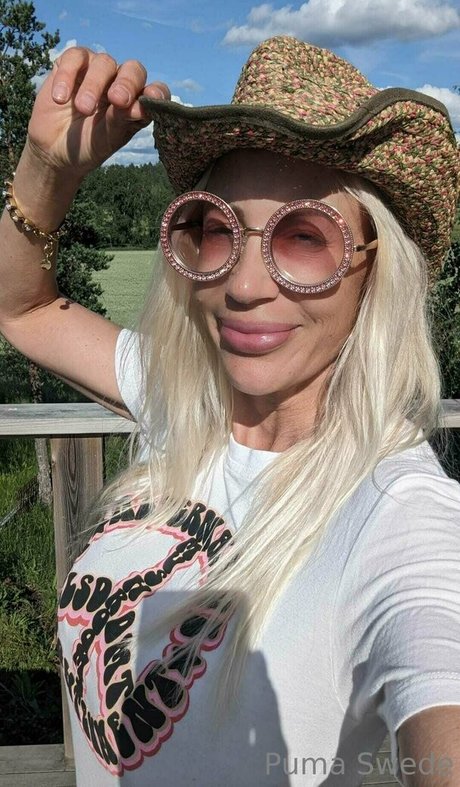 pumaswede freie nette fotos