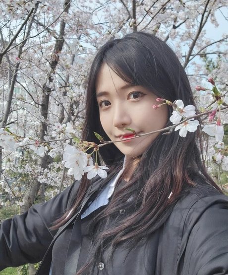 beliebte asiatische onlyfans freie pornographische foto