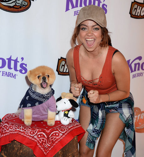 küken mit schwänzen onlyfans hd pornographische archiv