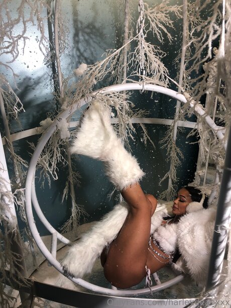 Harleydeanxxx hd sex archiv