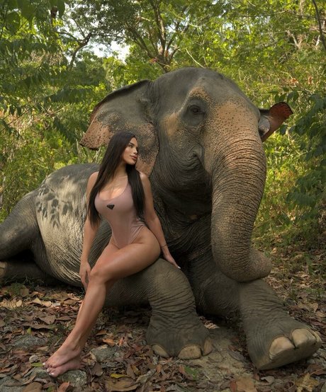 Thay Lupi kostenlose exklusive galerien