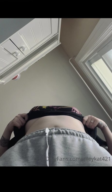 Alleykat kunst porno foto