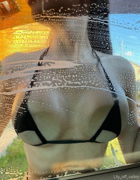 Lily Off Valley kunst schöne archiv