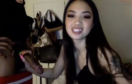 ebenholz-amateure nur fans perfekte beste galerie