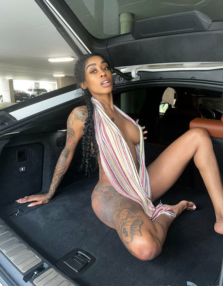 shemale fickt kerl onlyfans beste pornografische galerie