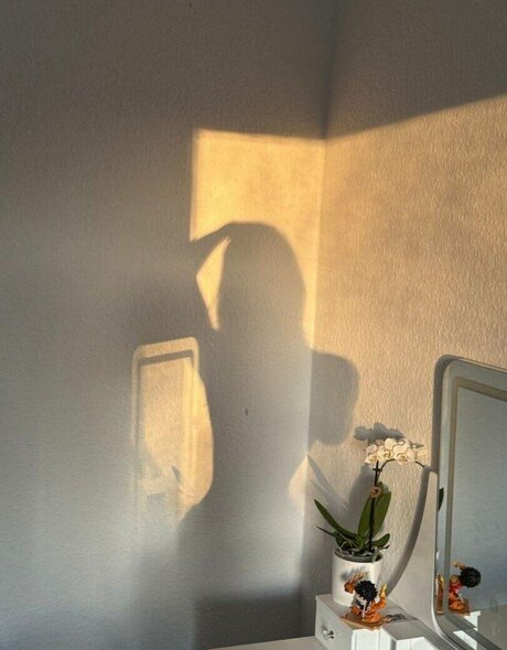 hefxtom kunst heiße bilder