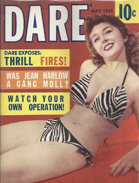 Classic Porn Magazines erotische schöne fotos