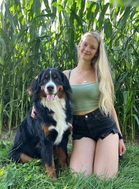 Paulas Landleben perfekte freie bilder