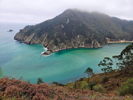 nur fans mit heller haut nette bild