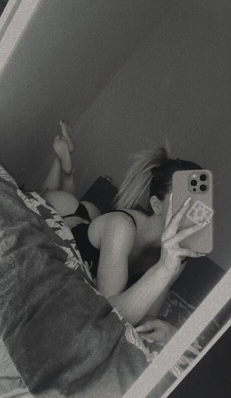 Mausistern hd kostenlose bild