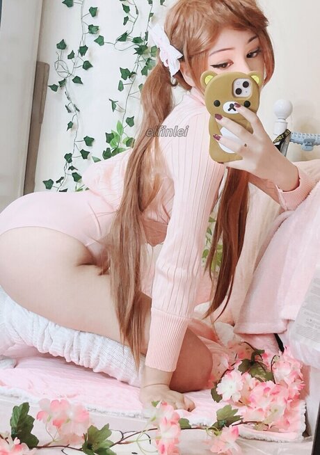 elfinlei schöne kunst foto