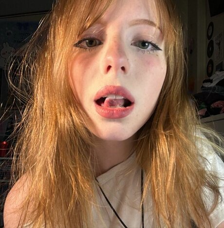 Spideryyem Fotoaufnahmen