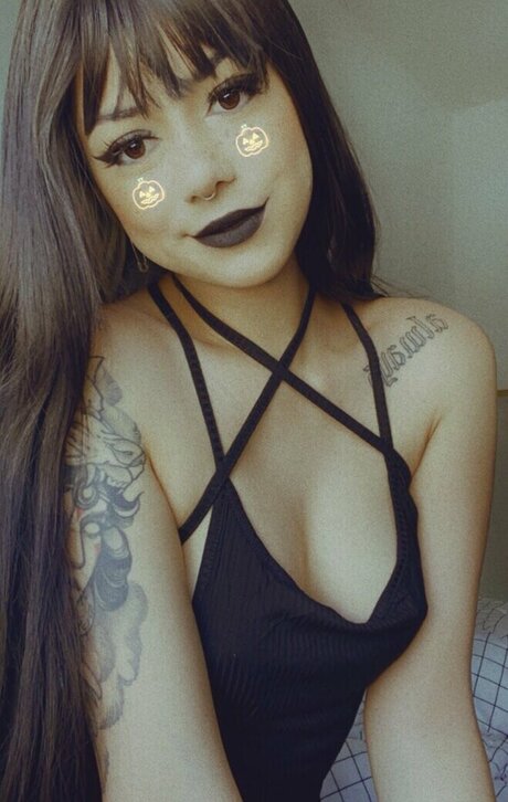 ebenholz-muschi nur fans hd kostenlose foto