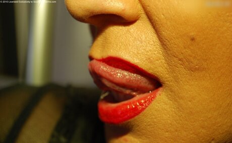 über 50 einzige fans kostenlose hd bilder