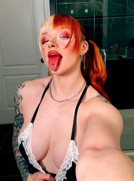 lilac lexx freie nette archiv