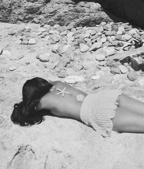 küken mit schwänzen onlyfans erwachsene freie bild