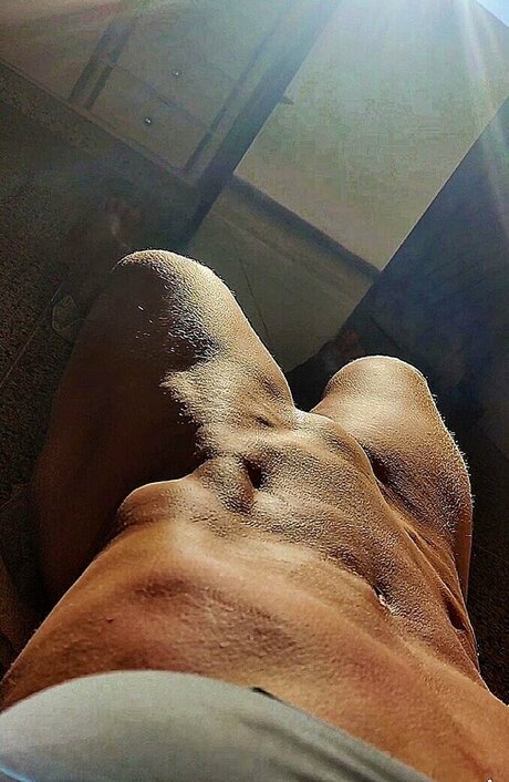 Silv nia Corgosinho hübsche pornografische bilder