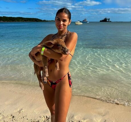 kätzchen nur fans hd bilder