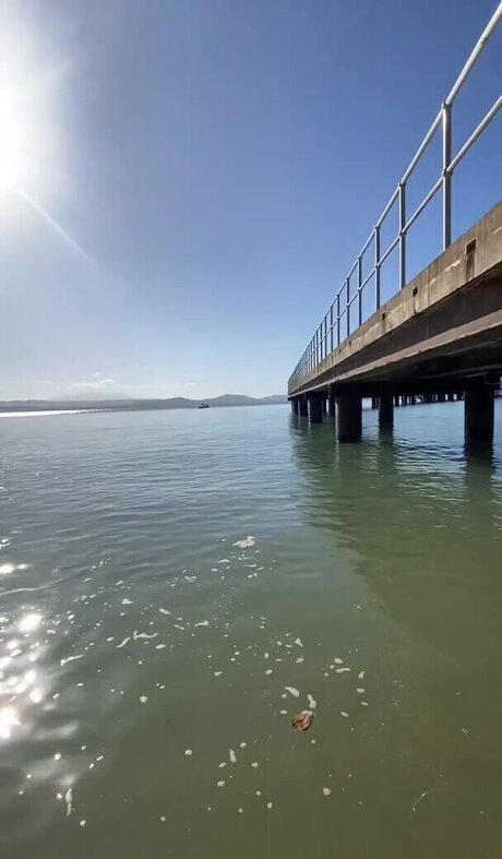 Bridget Williams schöne pornografische galerien