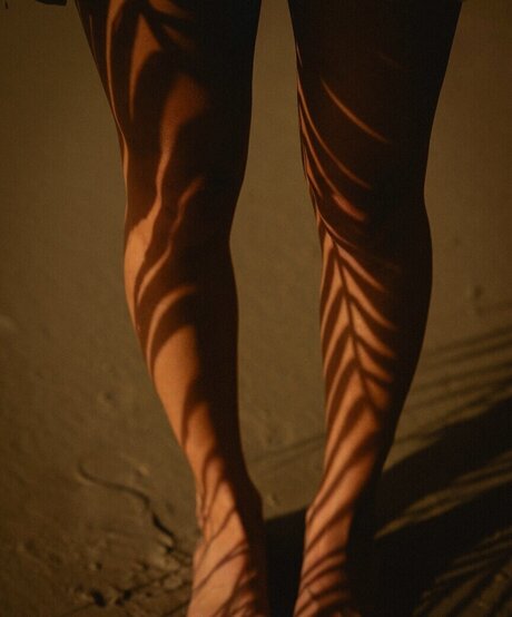 französische anal-onlyfans hd nette bilder