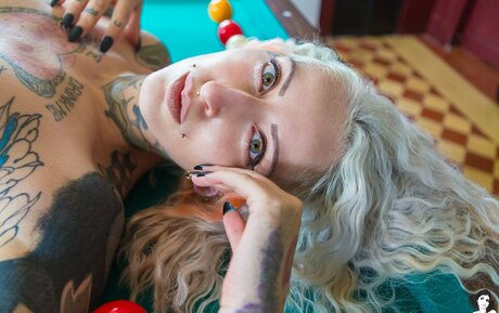 küken mit schwänzen onlyfans hd freie galerie