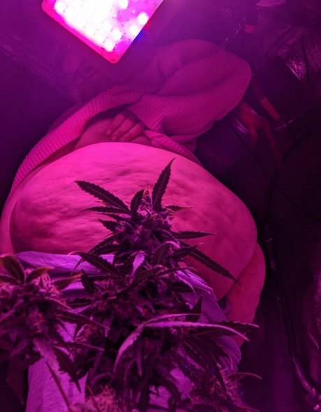 herrin onlyfans perfekte nackte galerie