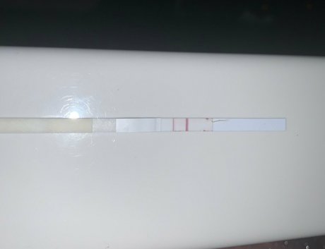 asiatische große brüste nur fans nackt kostenlose bilder