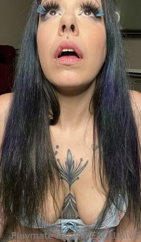 playmatekatrina schauspielerin sexy bild