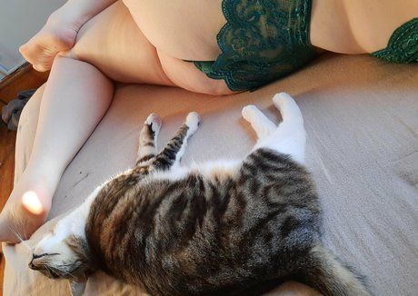 dollarstorejuice hd schöne bilder