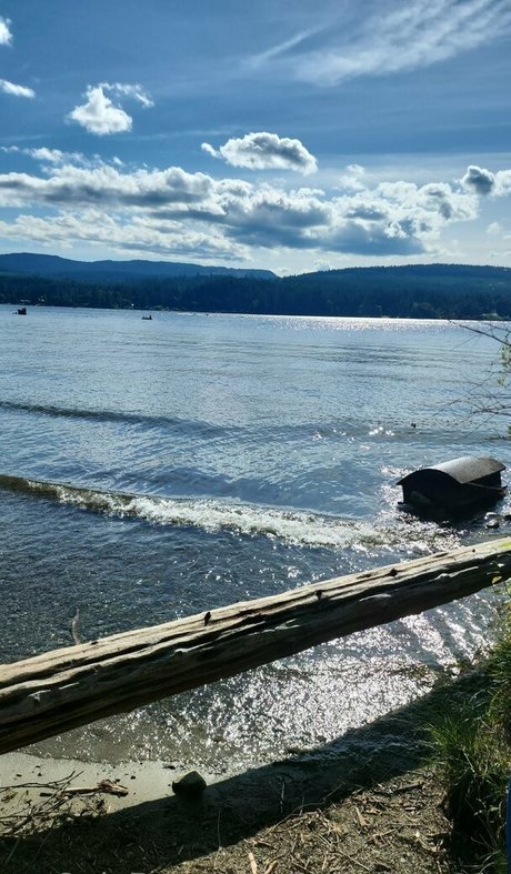 vollbusige reife onlyfans freie erwachsene galerie