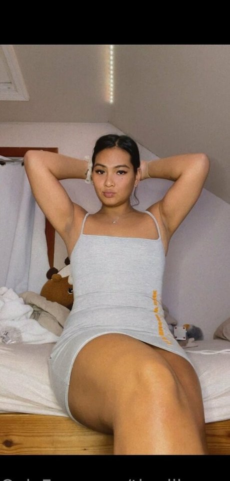 thedilemma hd freie bild