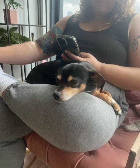 ebenholz raucht nur fans beste galerie