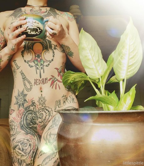 littlespittle pornografische pornostar bild