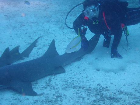 Lily Lane exklusive schöne galerie