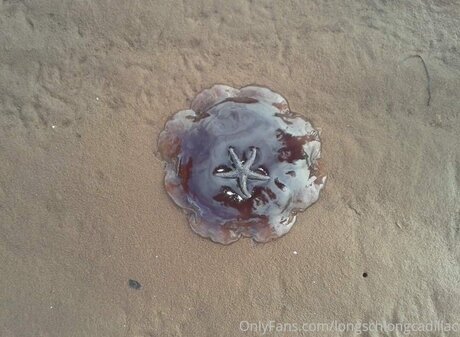 Cadillac top akt foto