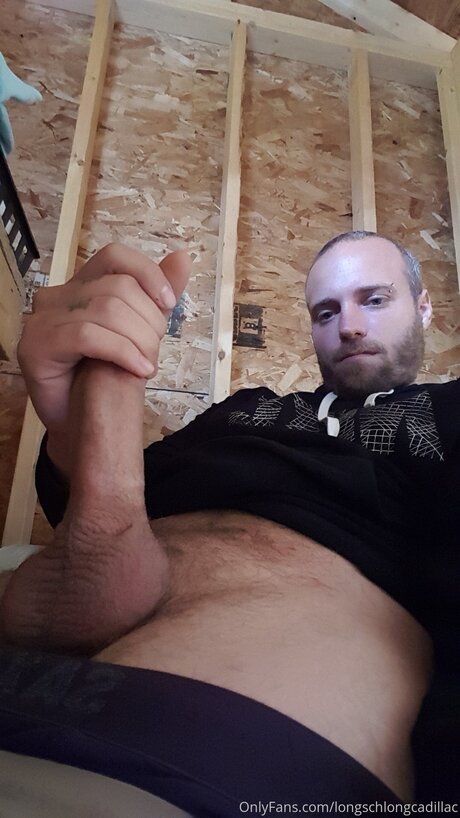 Cadillac schöne kunst foto