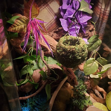 Luscious Lilth perfekte heiße bild