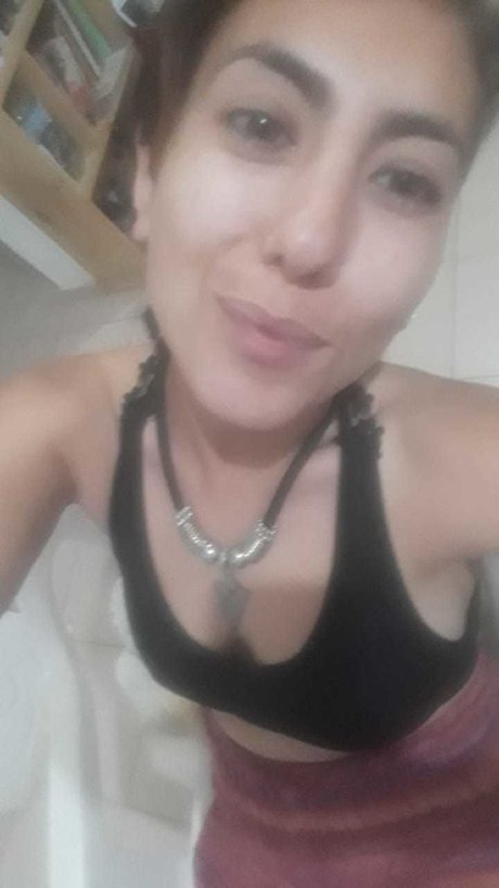 Minerva perfekte galerie