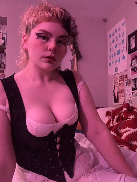 E they them_ exklusive erotische galerie