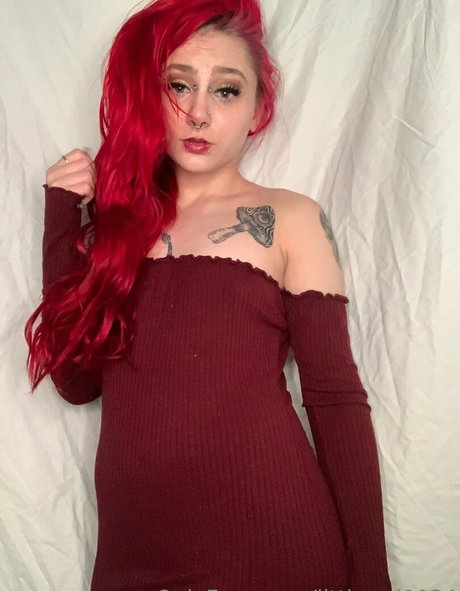 scarlett sin24 freie perfekte bild