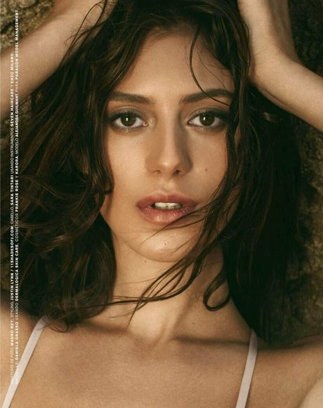 britische muschi nur fans exklusive kostenlose bild