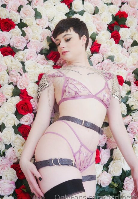 Harlihero freie nette galerien